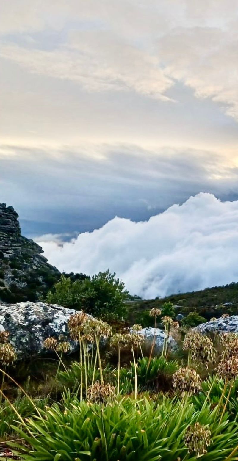 4 Clouds at Table Mountain in Cape Town, South Africa